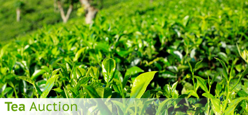 Tea e-Auction