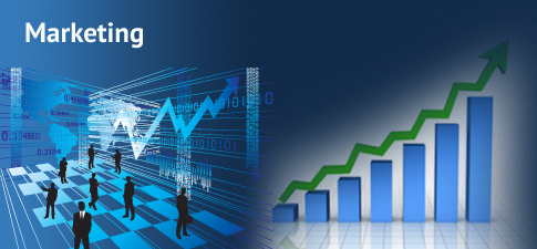 Marketing Services