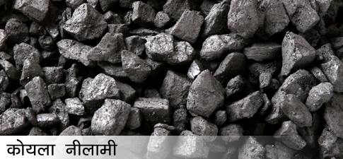 Coal Auction